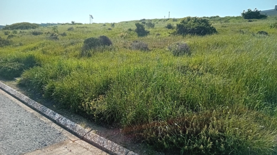 0 Bedroom Property for Sale in Hoogland Western Cape